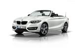 BMW 218i Con 2016