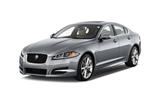 XF